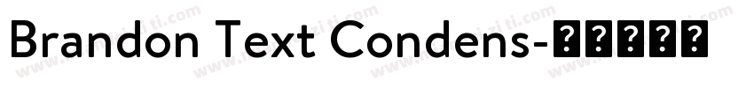 Brandon Text Condens字体转换